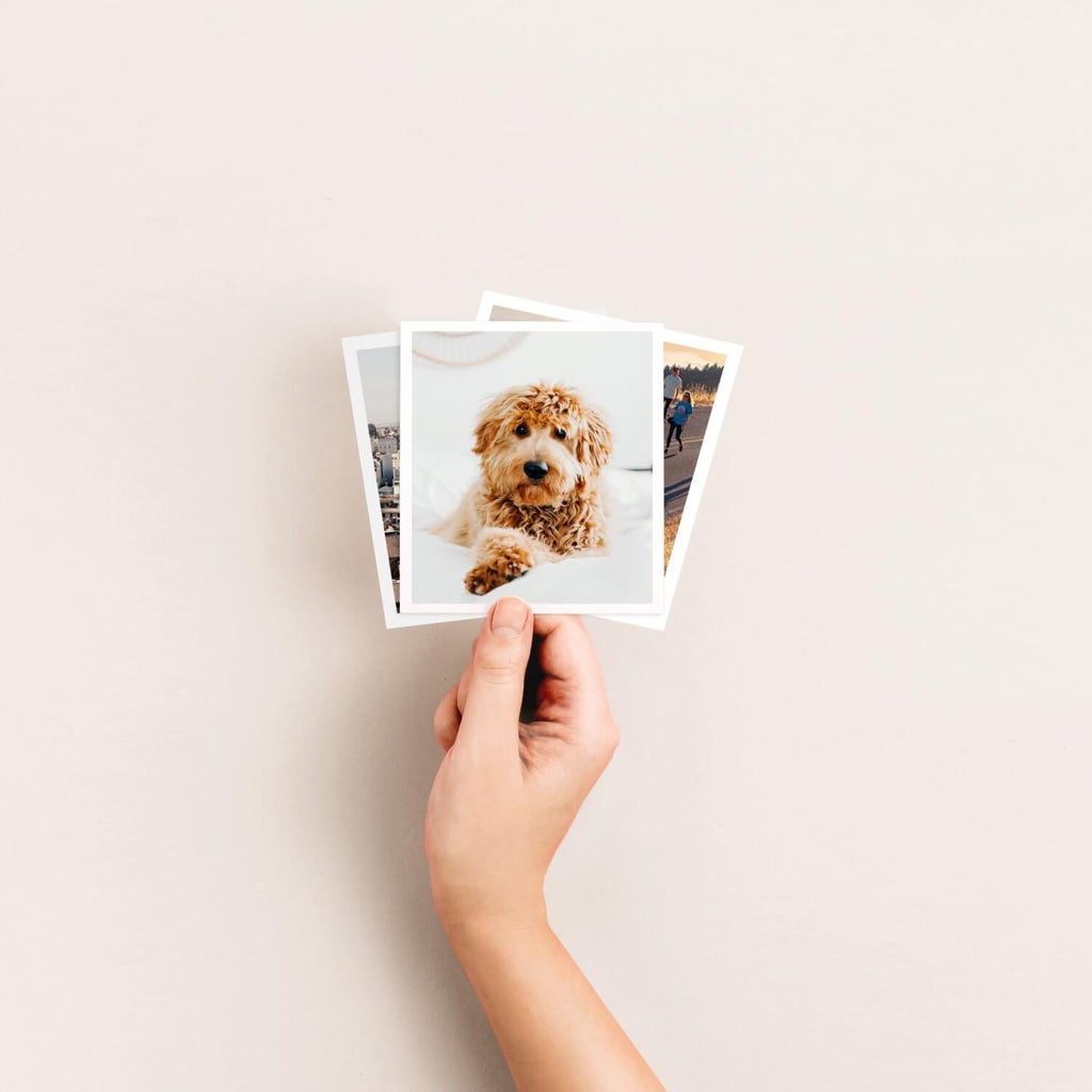 Pet portraits, pet portraits from photos, turn pet photo into art, personalized dog print, cat prints, pet photo prints